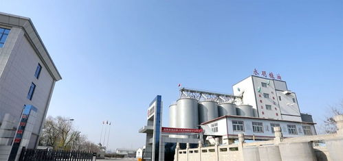 山东永明粮油拟在鲁西南建设大型多功能面粉厂，助力区域农业经济高质量发展